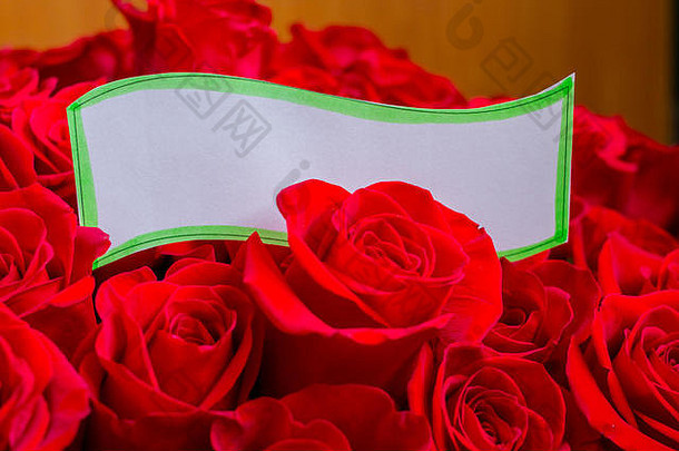 纸卡玫瑰花束假期背景红色的玫瑰空白纸卡象征情人节一天妈妈。一天婚礼一天生日