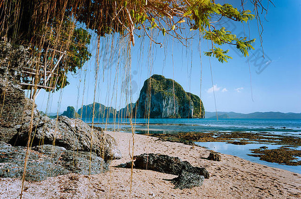 菲律宾自然<strong>风</strong>景海滩低<strong>潮</strong>木鲍尔树令人惊异的pinagbuyutan岛背景异<strong>国</strong>情调的自然海海岸托儿所