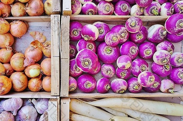 农贸市场上五颜六色的紫根蔬菜