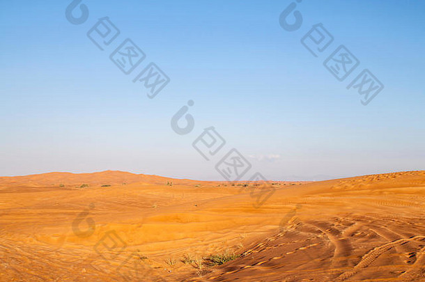 沙漠景观与狩猎车的踪迹