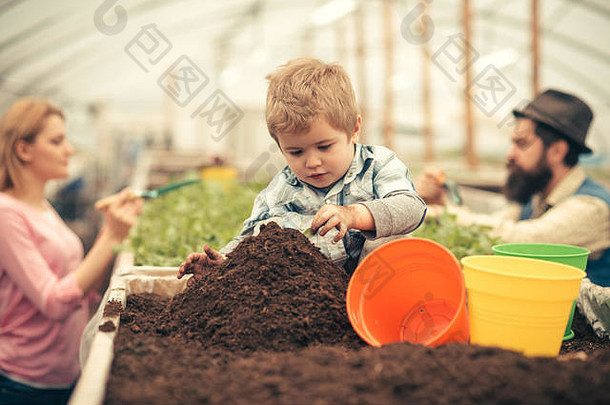 农民农民工作土壤农民温室农民孩子种植花
