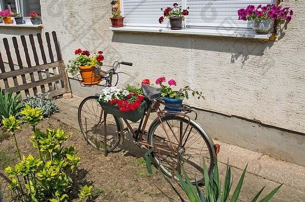 首页花花园自行车装饰花自行车诱人的的观点传球