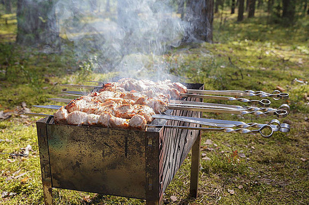 烹饪猪肉烤羊肉串串肉扦火盆在户外