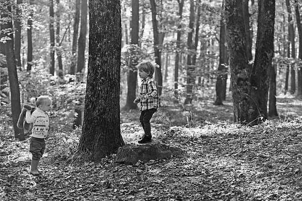 孩子们玩秋天森林哥哥妹妹有趣的新鲜的空气男孩女孩朋友野营森林童年孩子友谊