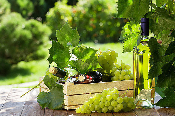 白葡萄<strong>酒</strong>和红葡萄<strong>酒</strong>瓶，葡萄藤和一串葡萄放在花园的桌子上