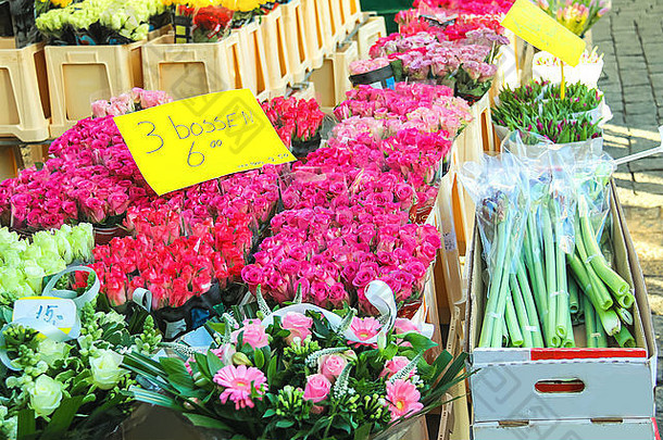 荷兰花卉市场上出售的花卉，荷兰