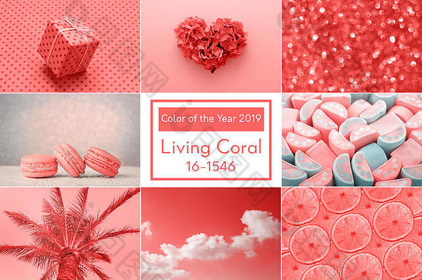 受2019年活珊瑚色启发的时尚创意拼贴。爱心，甜蜜，节日礼物，时尚。