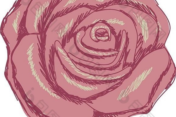色彩斑斓的轮廓水彩玫瑰特写镜头