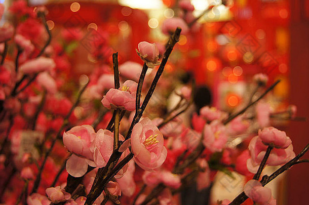 桃花传统花卉装饰，春节-农历新年。