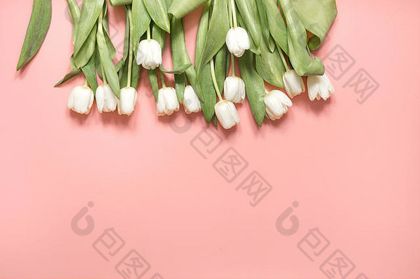 母亲节贺卡。白色郁金香的边缘涂上柔和的千年粉色。顶视图。母亲节。文本空间。