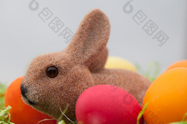 巢中有复活节彩蛋的复活节兔子