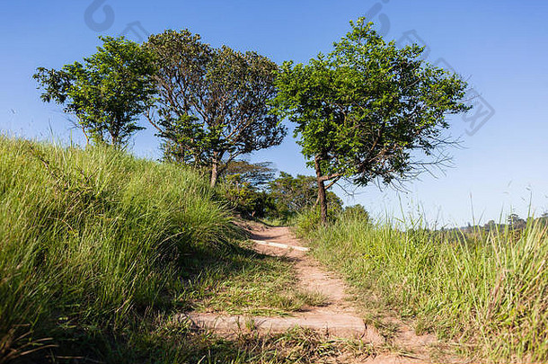 徒步旅行女人俯瞰岩石悬崖河喉咙农村农村谷夏天季节