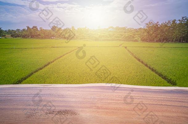 木桌棕色木地板，用于放置东西，旁边俯瞰水田，郁郁葱葱的绿色稻谷背景优美。