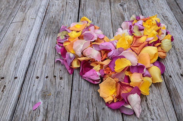 玫瑰花瓣形状心颜色日落包括橙色黄色的粉红色的紫色的
