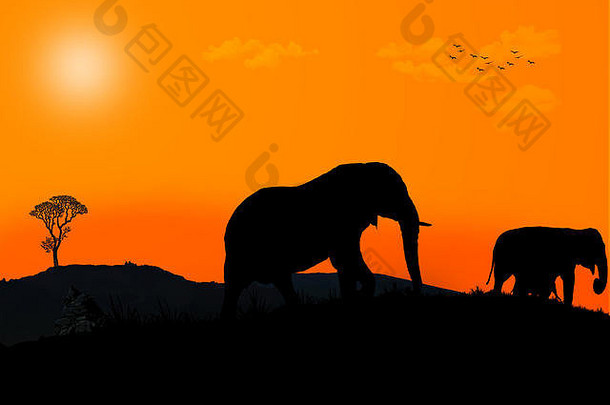 以狩猎为背景的美丽大象家族。