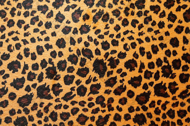 野生非洲动物隐藏模式棕色（的）捷豹