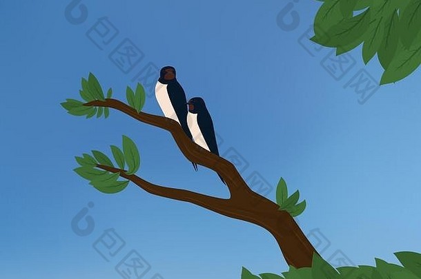 精品燕子坐着分支绿色叶子蓝色的天空背景