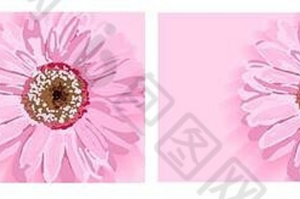 一组春天的花朵背景。设置故事、横幅和instagram的格式。粉红色的花。背景以插入文本。女式问候套设计