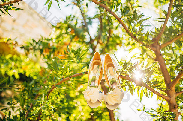 新娘的结婚鞋挂在橄榄枝上