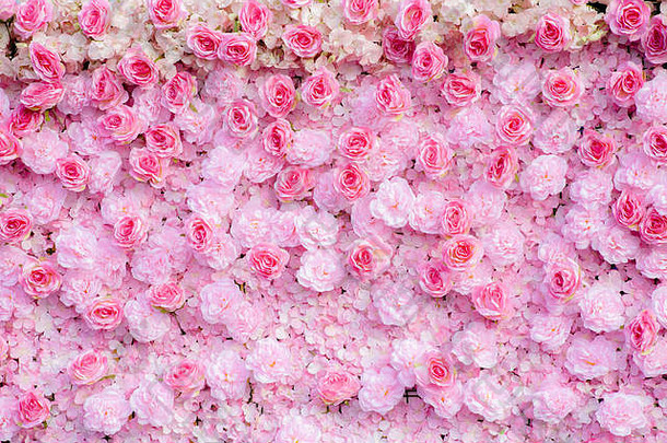 粉红色的玫瑰背景粉红色的玫瑰壁纸