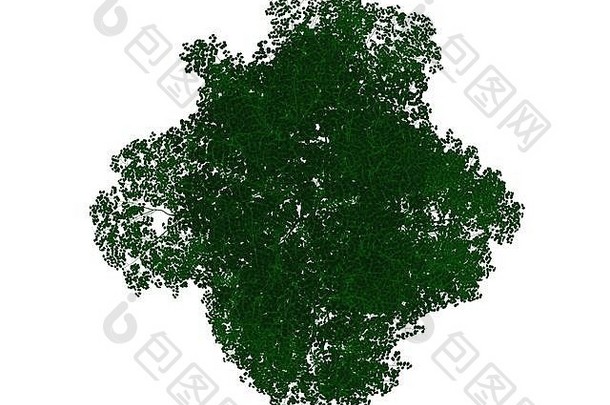 在白色背景上隔离绿色边缘的黑色轮廓树的三维渲染
