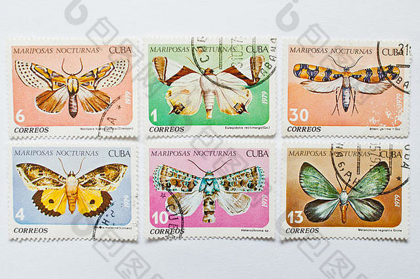 乌兹戈罗德，乌克兰——大约2016年5月：古巴印刷的邮票集，展示了不同类型的蝴蝶，大约1