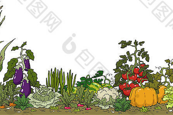 蔬菜花园床上白色背景