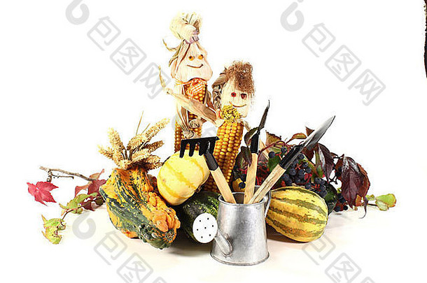 白色背景上有玉米娃娃和野生藤蔓的秋季蔬菜