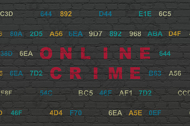 隐私概念：墙上的网络犯罪