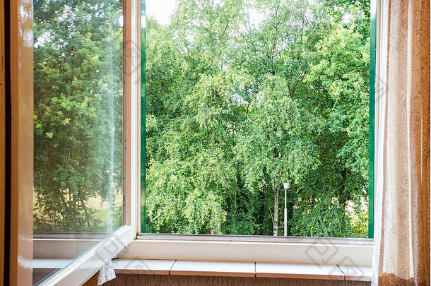 自然景观视图窗口绿色树
