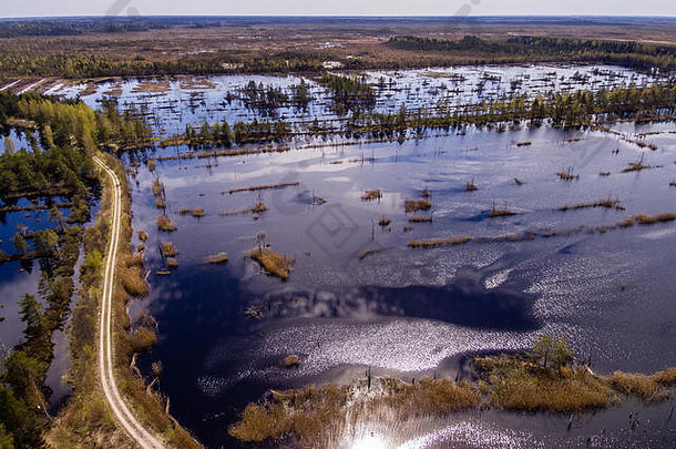 无人机图像空中视图农村区域沼泽湖泊蓝色的水