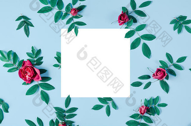 红玫瑰、绿叶和蓝色背景上的白色框架构成的创意布局。夏季简约概念。自然背景。平面布置，俯视图，公司