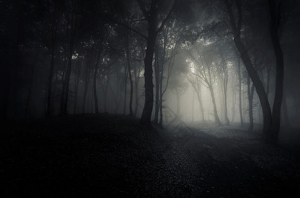 路径黑暗被施了魔法森林