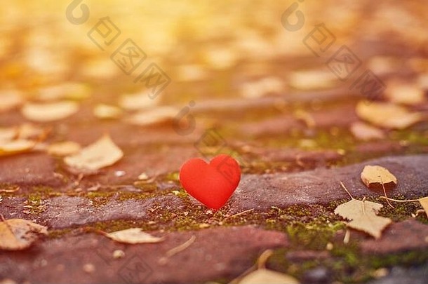 一颗心在秋天的小路上。单恋、单恋或孤独的概念。象征着情人节的单恋受害者。秋高气爽
