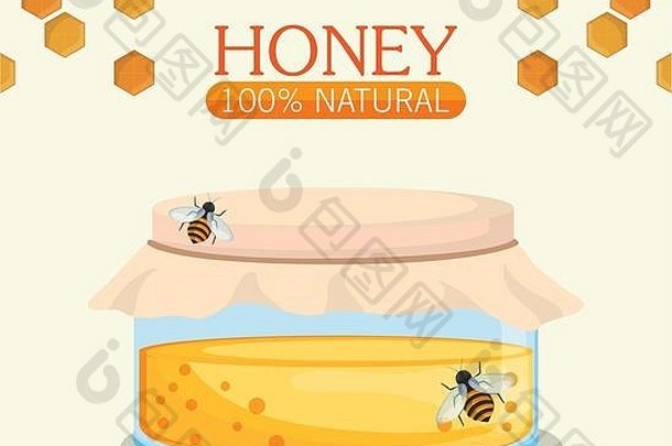 蜂蜜健康有机食品设计