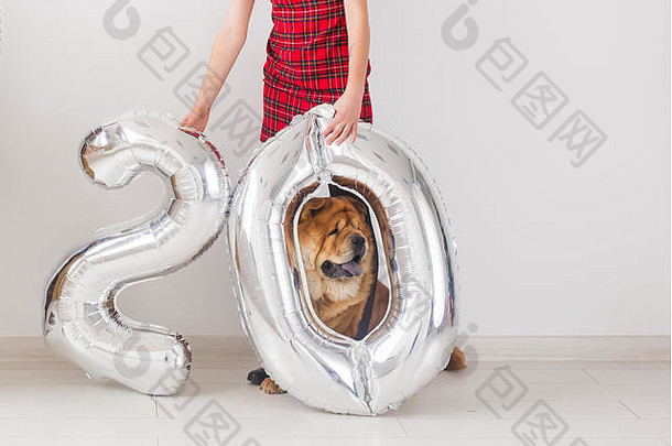 宠物主人、周年纪念日、生日和动物概念-宠物狗及其主人。《年轻女子》的特写镜头是第二十部。
