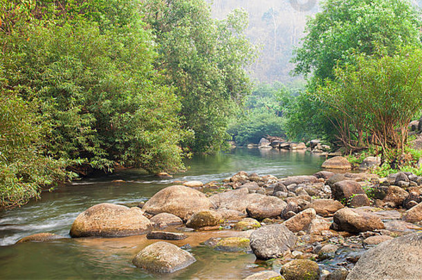 河石头树森林美丽的自然亚洲