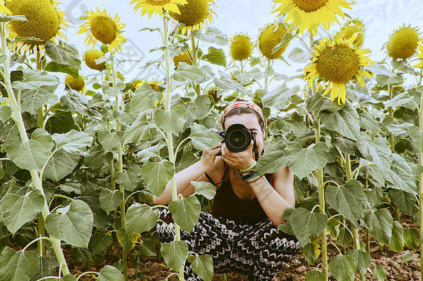 年轻女子在向日葵地里拍照
