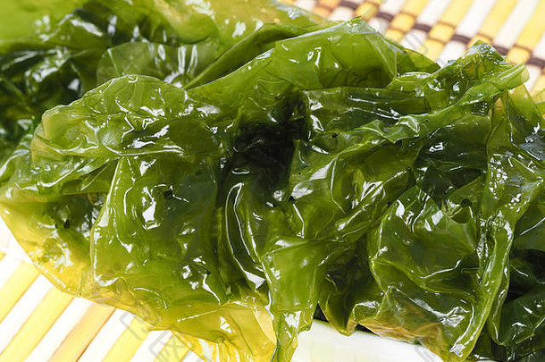 海莴苣——榆科的食用绿藻。二项式名称：石莼。