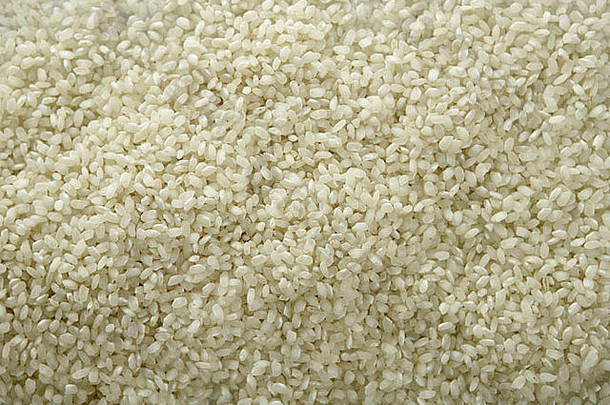 白色大米关闭纹理背景模式大米种子西班牙