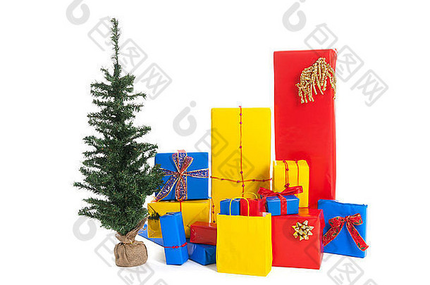 许多红色、蓝色和黄色的圣诞礼物，白色背景上有一棵孤立的小树