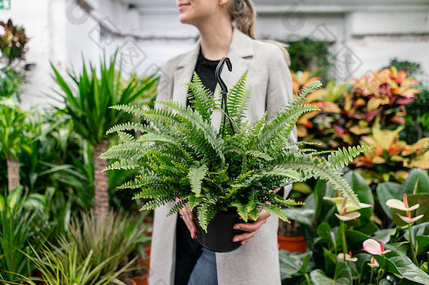 年轻的女人持有nephrolepis植物蕨类植物选择植物房子植物花锅花商店花园中心