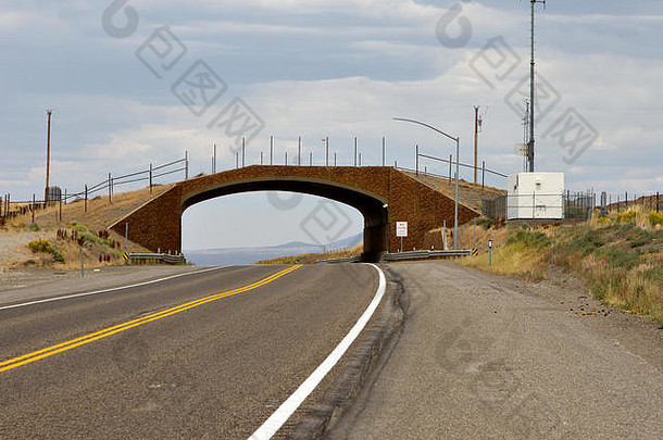 桥高速公路迁移动物爱达荷州