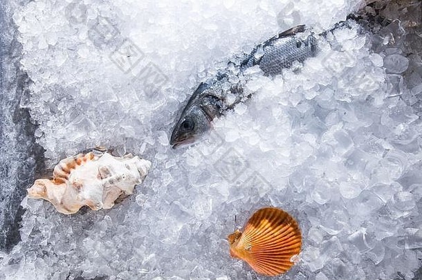 高角度静物生活的各种生鲜鱼冷在床上的海鲜市场摊位与空间
