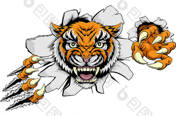老虎动物体育吉祥物字符撕背景爪子