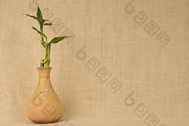 竹子花瓶粗麻布背景