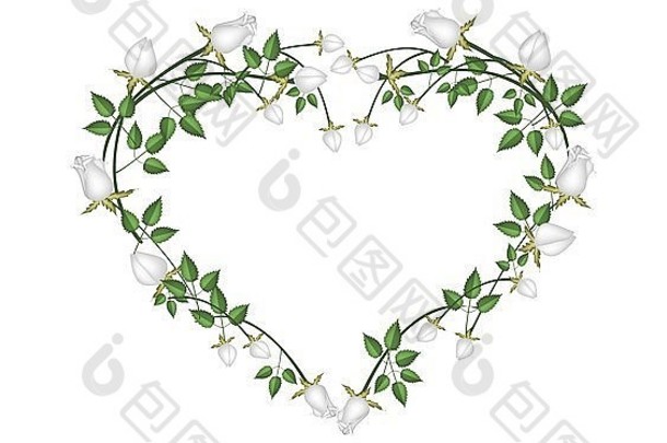 爱情概念，白色背景上形成心形的白玫瑰插图。