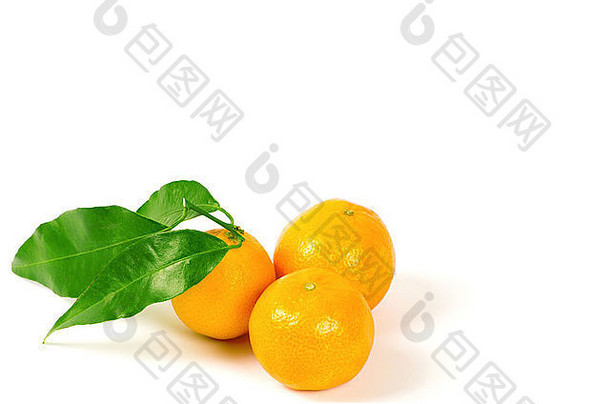 橘子绿色叶子孤立的白色