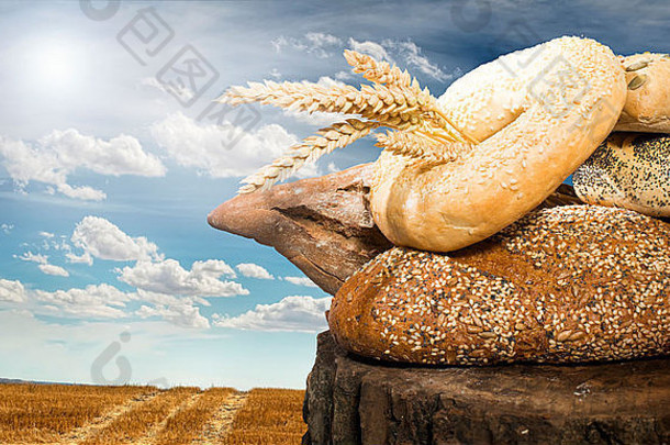 面包和小麦谷类作物。背景上的谷物作物