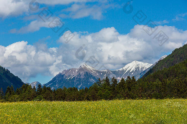 夏天阿尔卑斯山脉山景观冷杉森林坡雪覆盖岩石上衣奥地利